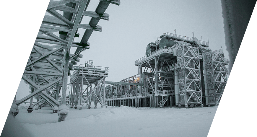ООО «НГП «Северо-Карасевское»