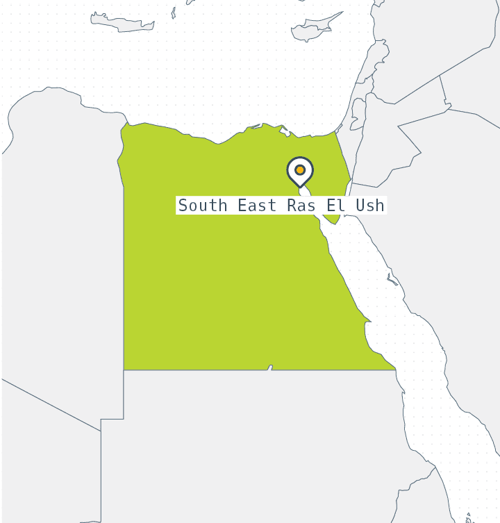 ООО «ЗН БВ» SEREU